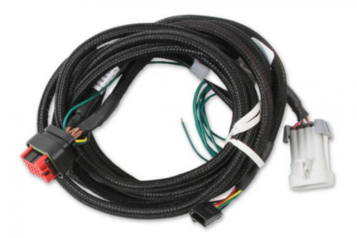 MSD EFI And LS Harness - Pro 600