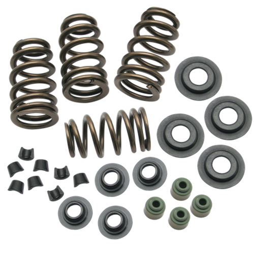 S&S Cycle Spring/Kit/Valve/.650in/Chrome Silicone Steel/2005-18 BT/2004-19 XL - 106-5909 User 1