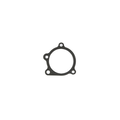 Cometic Ford EAO Cosworth YB .060in AFM Water Pump Gasket - C4637 Photo - Primary