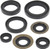 QuadBoss Oil Seal Set - 564397 Photo - Primary