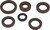 QuadBoss Oil Seal Set - 564595 Photo - Primary