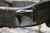 Rustbuster Front Cab Mount Left Side - RB7076L Photo - Primary
