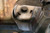 Rust Buster Avalanche/Suburban/Yukon Rear Upper Coil Spring Bucket - Right - RB7404R Photo - Primary