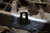 Rustbuster Bed Mount - RB7614 Photo - Primary