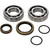 All Balls Racing Crank Bearing Kit - 24-1128 Photo - Close Up