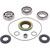 All Balls Racing Differential Kit - 25-2154 Photo - Close Up
