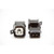 BLOX Racing Quick Connectors - EV6/EV14 to EV1 (Single Adapter) - BXFU-00621 Photo - Primary