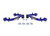 SuperPro 11-20 Mazda BT-50 (UP/UR) Front Fixed Offset Upper Control Arm Kit - TRC6560 Photo - Primary
