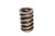 COMP Cams 977-1 Dual Valve Spring with Damper, 441 lb/in Spring Rate