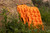 DV8 Offroad DV8 Xtract Mini Traction Board | Pair | Orange - RTB2-02OR Photo - out of package