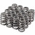 MELLING Valve Spring Set Beehive 46652-16 for High-Performance Engines