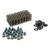 Comp Cams Valve Spring Kit, Ford Power S Troke 6.0/6.4 - 26124-KIT Photo - out of package
