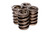 Comp Cams Valve Spring, 1.460In 972-973 - 977-4 Photo - Primary