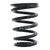 BC Racing Spring - Rear - BC Racing 119-125-200-10-V