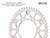 Vortex Racing V4 41 Tooth 520 Rear Sprocket - Silver - 144AV4-41 Photo - Primary