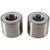 Pivot Works Rear Wheel Bearing Kit PWRWK-K16-430 for Front or Rear Machine