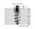 IGRIP 11mm Standard Screw Studs - Quantity 150 for Enhanced Off-Road Traction and Safety