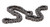 HOT CAMS HC82RH2010106 Cam Chain – High-Performance Silent Chain for Automotive Engines