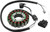 SP1 Stator Assembly Part Number SM-01361 for Electric Motors