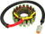 SP1 Stator Assembly SM-01351 for Electric Motors and Generators