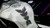 ONE EMBLEMS HDR5 Black Traction Pad for Motorcycles