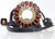 RICKS 21-808H Stator Replacement for Reliable Engine Performance