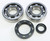 PROX 23.CBS13084 Crankshaft Bearing & Seal Kit for Enhanced Engine Performance