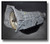 Suncoast Converters Ford 4R100 Loaded Coast Clutch Drum (Part Number: 4R100CC4)