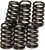 EBC Clutch Springs CSK10 - Performance Upgrade for Enhanced Power Transfer