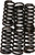 EBC Clutch Springs CSK6 – Enhanced Performance for Your Vehicle