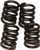 EBC Clutch Springs CSK22 for Enhanced Clutch Performance