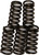 EBC Clutch Springs CSK176 for Enhanced Performance and Durability