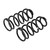 ARB / OME Coil Spring Rear Prado 4/03On - 2895 Photo - out of package
