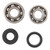 Hot Rods Bearing/Seal Kit Yz80 93-01 - K007 Photo - Primary