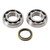 Hot Rods Bearing/Seal Kit Rmz250 07-09 - K055 Photo - Primary