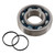Hot Rods Bearing/Seal Kit - K081 Photo - Primary