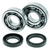 QuadBoss 88-06 Yamaha YFS200 Blaster Crankshaft Bearing & Seal Kit - 413259 Photo - Primary