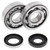 All Balls Racing 1993 Husqvarna CR250 Crank Shaft Bearing Kit - 24-1109 Photo - Primary