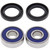All Balls Racing 83-84 Honda CR60 Wheel Bearing Kit - Front - 25-1027 Photo - Primary