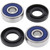 All Balls Racing 75-87 Kawasaki KD80 Wheel Bearing Kit - Rear - 25-1292 Photo - Primary