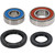Pivot Works Pw Premium Wheel Bearing - 25-1035-P Photo - Primary