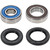 Pivot Works Pw Premium Wheel Bearing - 25-1208-P Photo - Primary
