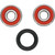 Pivot Works Pw Premium Wheel Bearing - 25-1323-P Photo - Primary