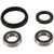 Pivot Works Front Wheel Bearing Kit - PWFWK-K27-000 Photo - Primary