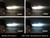 Diode Dynamics HID Bulb D3S 4300K (Pair) - DD1043P User 7