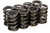 1.235 Dual Valve Springs (8pk)