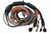 Haltech NEXUS R3 Universal Wire-In Harness - 2.5M (8ft) - HT-183200 User 1