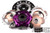 XClutch 02-06 Acura RSX Base 2.0L 7.25in Triple Solid Ceramic Clutch Kit - XKHN18523-3E Photo - Primary