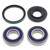 All Balls Racing 95-98 Ski-Doo Formula S Drive Shaft Bearing & Seal Kit Lower Shaft - Track - 14-1023 Photo - Primary