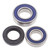 All Balls Racing 89-95 Yamaha Ovation 340 Drive Shaft Bearing & Seal Kit Lower Shaft - Track - 14-1052 Photo - Primary